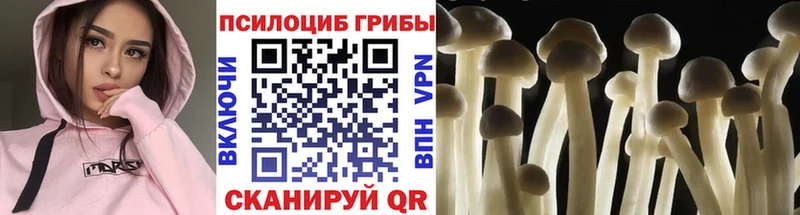 Псилоцибиновые грибы ЛСД  Буй 